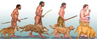 Evolución del hombre y el perro