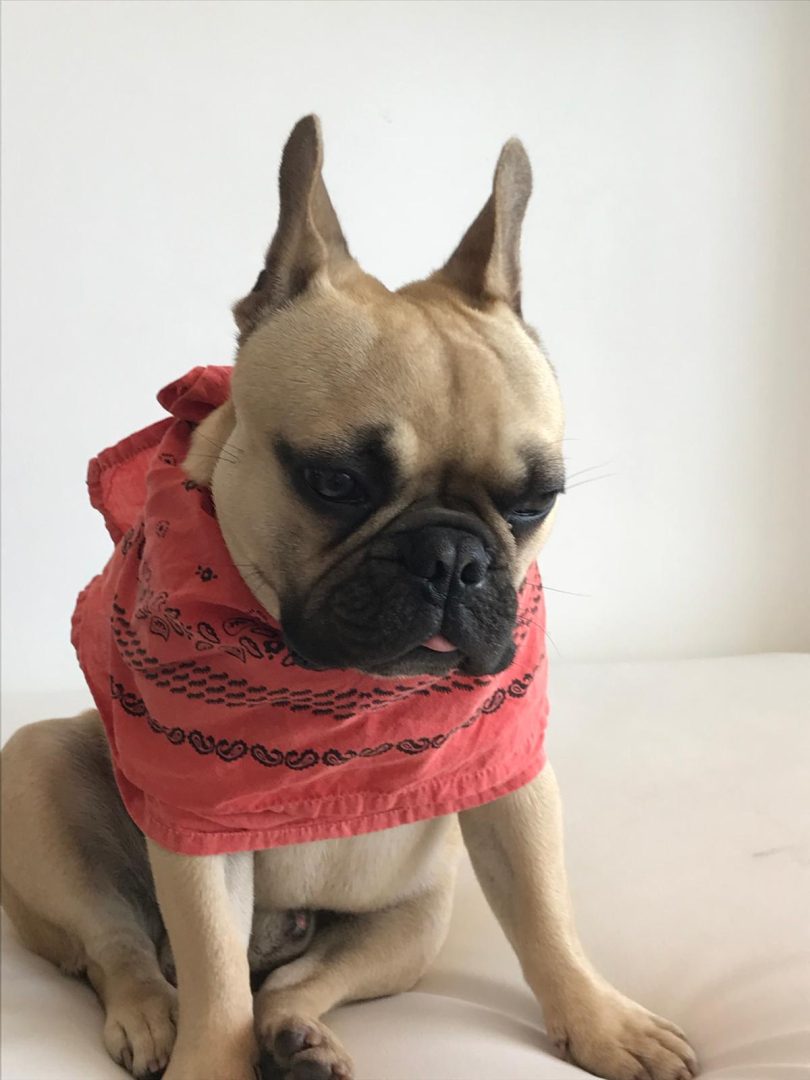 Benito
